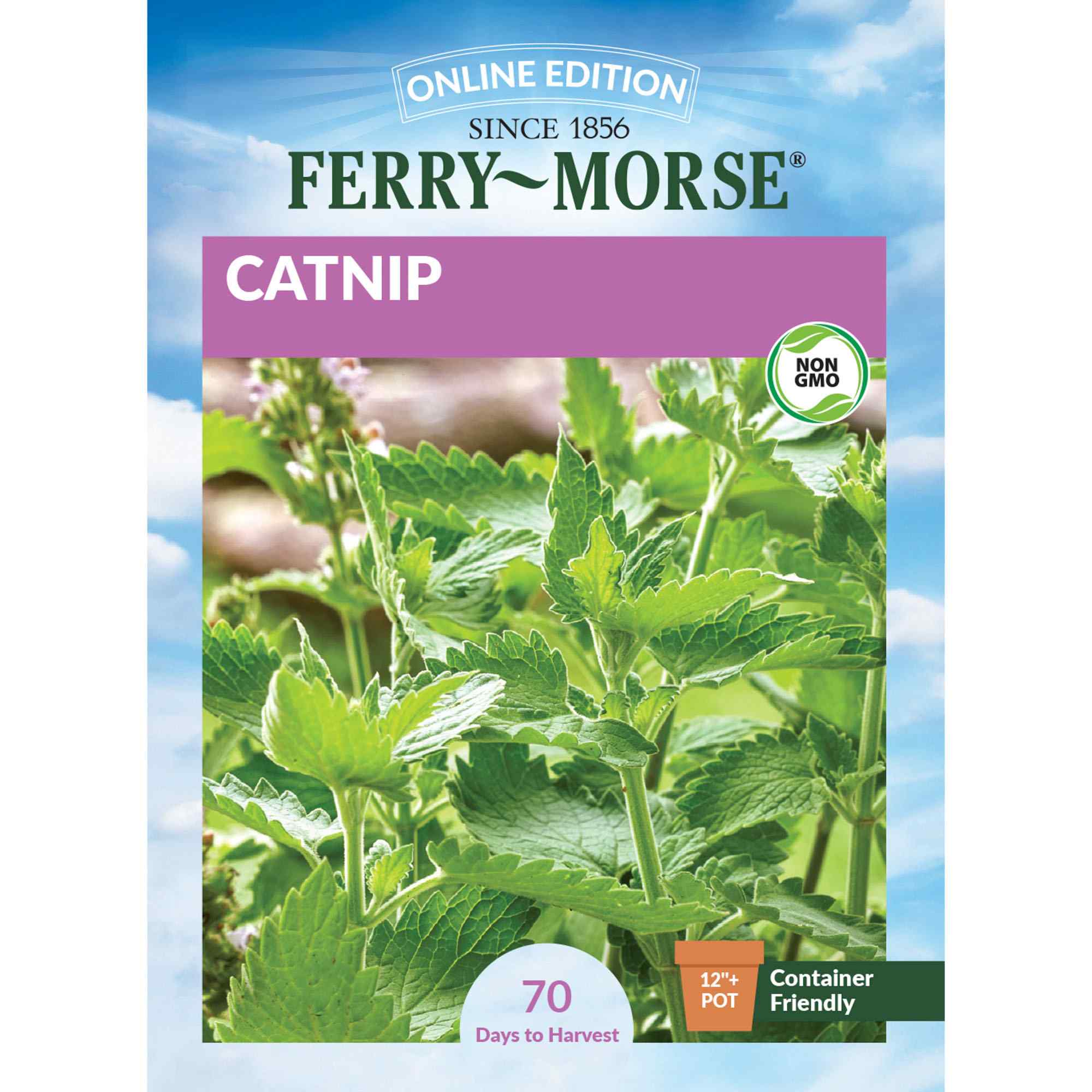 Ferry-Morse catnip seed packet